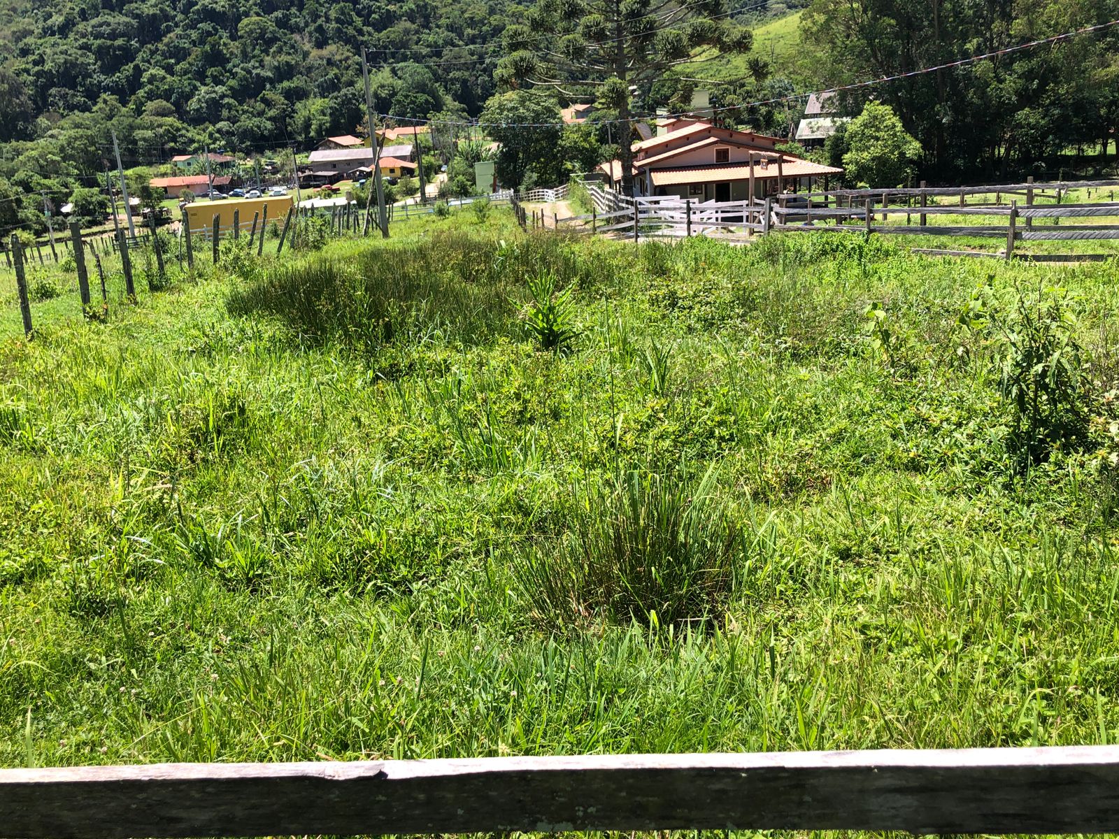 Terreno Venda Santa Cruz em Santo Antônio do Pinhal